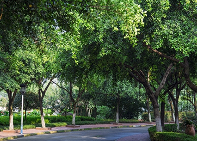 广州市交通技师学院2023年招生分数线-广东技校排名网