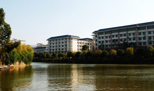 广州市免学费的公办大专学校是哪些-广东技校排名网