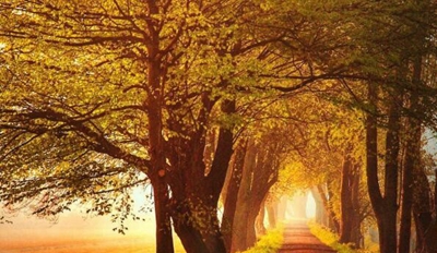 深圳第二高级技工学校2023年报名需要满足哪些条件-广东技校排名网