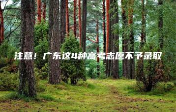 注意!广东这4种高考志愿不予录取-广东技校排名网