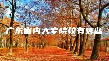 广东省内大专院校有哪些-广东技校排名网