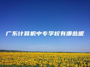 广东计算机中专学校有哪些呢-广东技校排名网