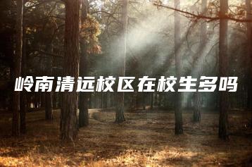 岭南清远校区在校生多吗-广东技校排名网