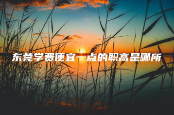 东莞学费便宜一点的职高是哪所-广东技校排名网