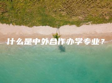 什么是中外合作办学专业?-广东技校排名网