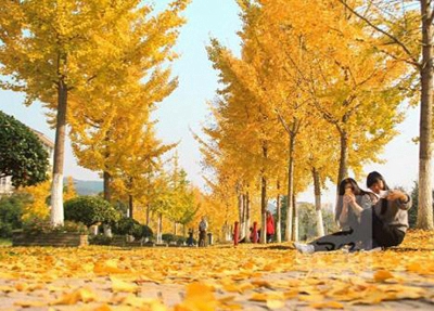 深圳中特技工学校2023年怎么样、好不好-广东技校排名网