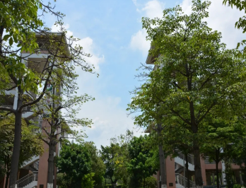 佛山市南海区信息技术学校2023年招生计划-广东技校排名网