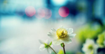 深圳智理技工学校2023年招生专业有哪些-广东技校排名网