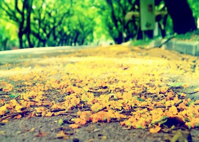 珠海工贸技工学校2023年招生计划-广东技校排名网