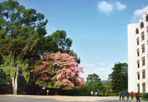 2023年广州市人工智能的专科学校有哪些-广东技校排名网