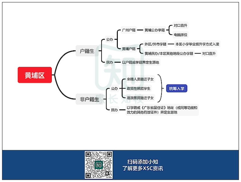 广州11区XSC升学途径汇总！-1