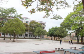 新丰县中等职业技术学校2023年网站网址是多少-广东技校排名网