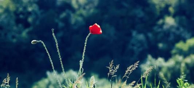 湛江商业技工学校2023年招生办联系电话-广东技校排名网