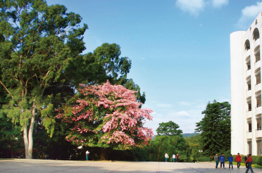 广州市职高学校口碑好的推荐哪些-广东技校排名网