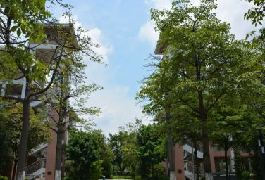 河源市特蕾新艺术幼儿师范学校2023年招生简章-广东技校排名网