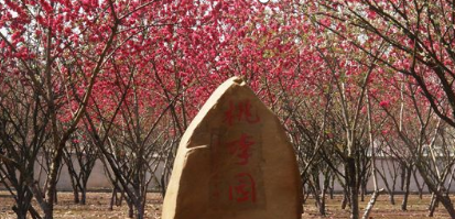 南雄市中等职业学校2023年报名条件-招生要求-招生对象-广东技校排名网