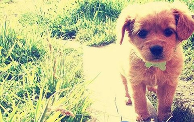 广东赛特技工学校2023年宿舍条件-广东技校排名网