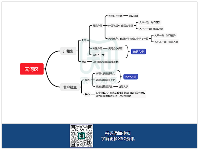 广州11区XSC升学途径汇总！-1