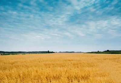 深圳华夏技工学校2023年怎么样、好不好-广东技校排名网