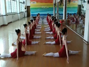 河源市特蕾新艺术幼儿师范学校2023年有哪些专业-什么是热门专业-广东技校排名网