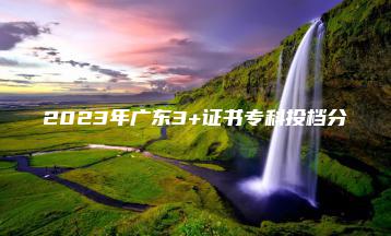 2023年广东3+证书专科投档分-广东技校排名网