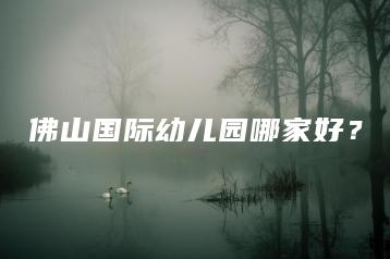 佛山国际幼儿园哪家好?-广东技校排名网