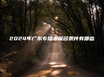 2024年广东专插本报名条件有哪些-广东技校排名网