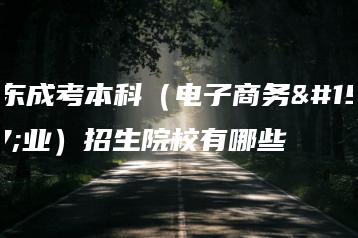 广东成考本科(电子商务专业)招生院校有哪些-广东技校排名网