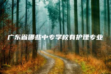 广东省哪些中专学校有护理专业-广东技校排名网