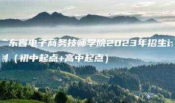 广东省电子商务技师学院2023年招生计划（初中起点+高中起点）-广东技校排名网