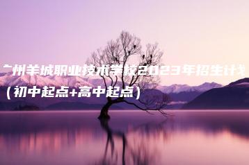 广州羊城职业技术学校2023年招生计划（初中起点+高中起点）-广东技校排名网