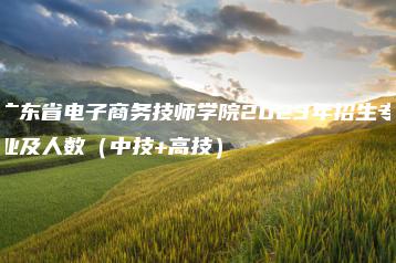 广东省电子商务技师学院2023年招生专业及人数(中技+高技)-广东技校排名网