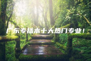 广东专插本十大热门专业!-广东技校排名网