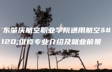 广东肇庆航空职业学院通用航空器维修专业介绍及就业前景-广东技校排名网