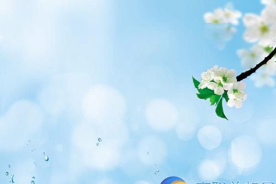 广东南粤技工学校2023年招生对象-广东技校排名网