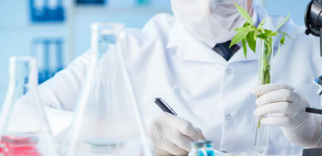 2023年广州市职高有哪些有药剂专业-广东技校排名网