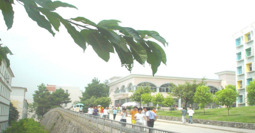 韶关市曲江职业技术学校2023年招生办联系电话是什么-广东技校排名网