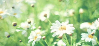 深圳华夏技工学校2023年地址在哪里-广东技校排名网