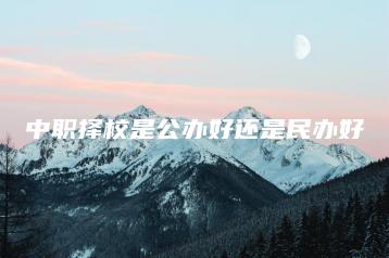 中职择校是公办好还是民办好-广东技校排名网