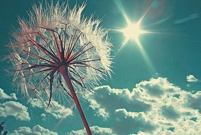 广州市纺织服装职业学校2023年多少分能报考-广东技校排名网