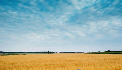 茂名第二职业技术学校2023年有哪些招生专业-广东技校排名网