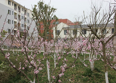 深圳华夏技工学校2023年开设有哪些专业-广东技校排名网