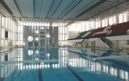 深圳市体育运动学校2023年有哪些专业-什么是热门专业-广东技校排名网