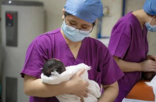 中专学习助产专业可以考的证书哪些实用-广东技校排名网