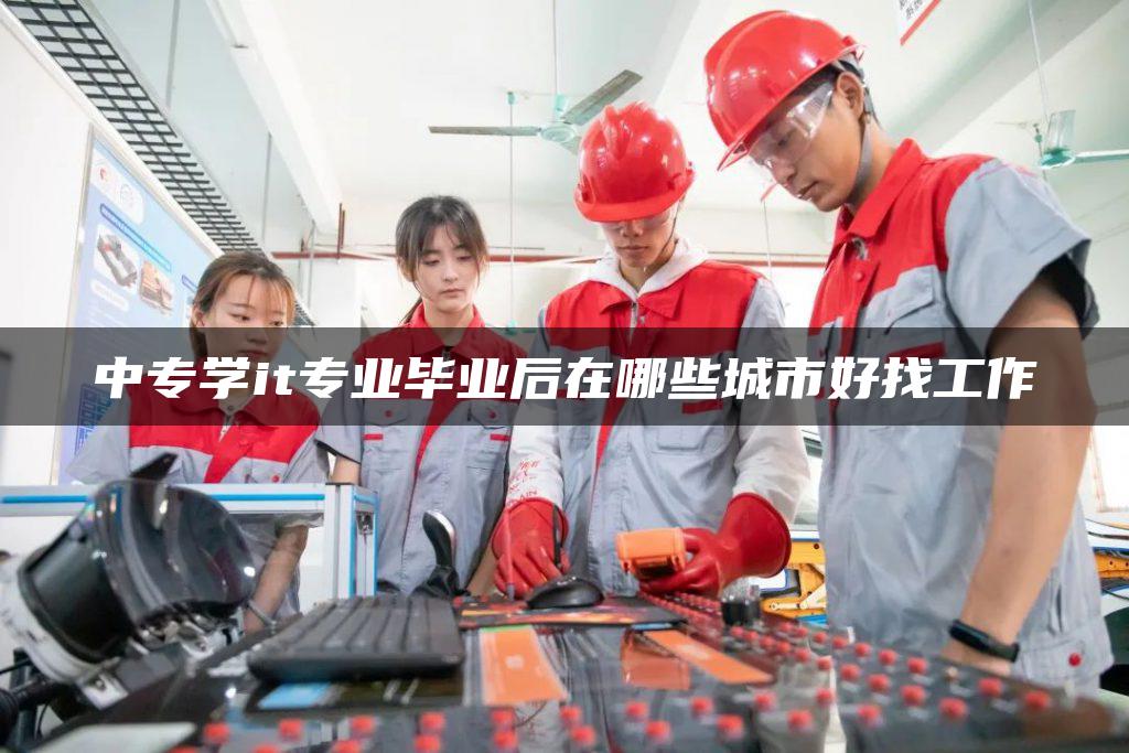 中专学it专业毕业后在哪些城市好找工作