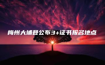 梅州大埔县公布3+证书报名地点-广东技校排名网