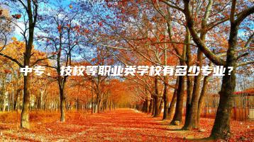 中专、技校等职业类学校有多少专业?-广东技校排名网