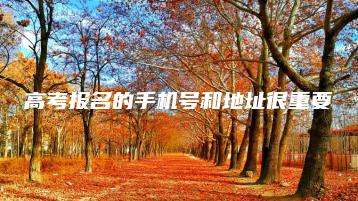 高考报名的手机号和地址很重要-广东技校排名网