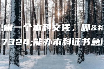 急需一个本科文凭，哪里能办本科证书急用-广东技校排名网