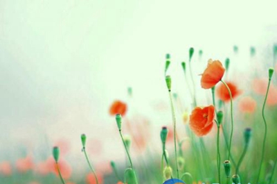 广州电子商务技工学校2023年招生分数线-广东技校排名网